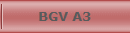 BGV A3