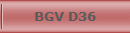 BGV D36