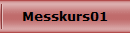 Messkurs01