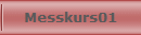 Messkurs01